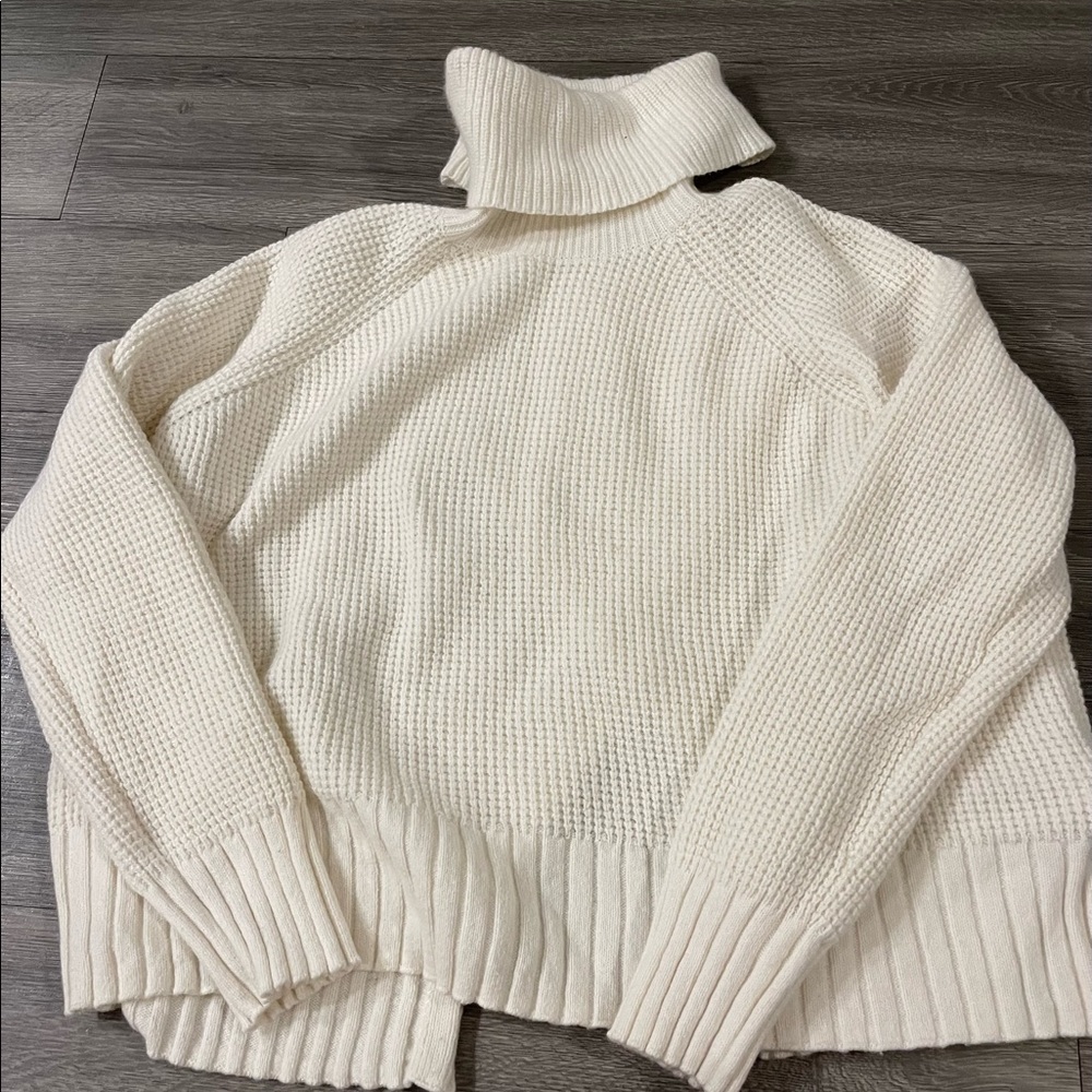 Madewell Turtle Neck Sweater